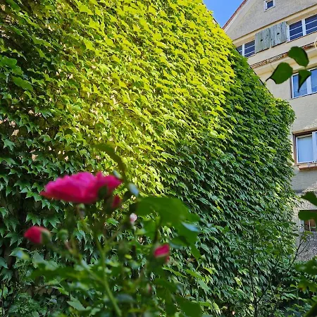 Gemuetliches Zuhause Im Herzen Des Allgaeus Apartamento Kempten