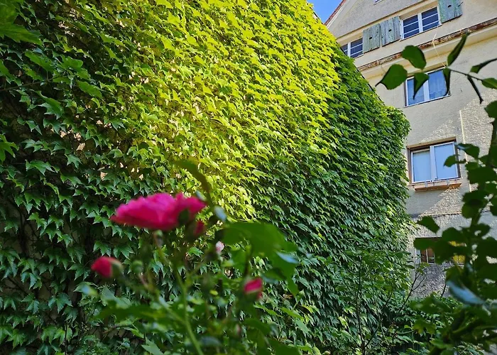 Gemuetliches Zuhause Im Herzen Des Allgaeus Appartement Kempten im Allgäu